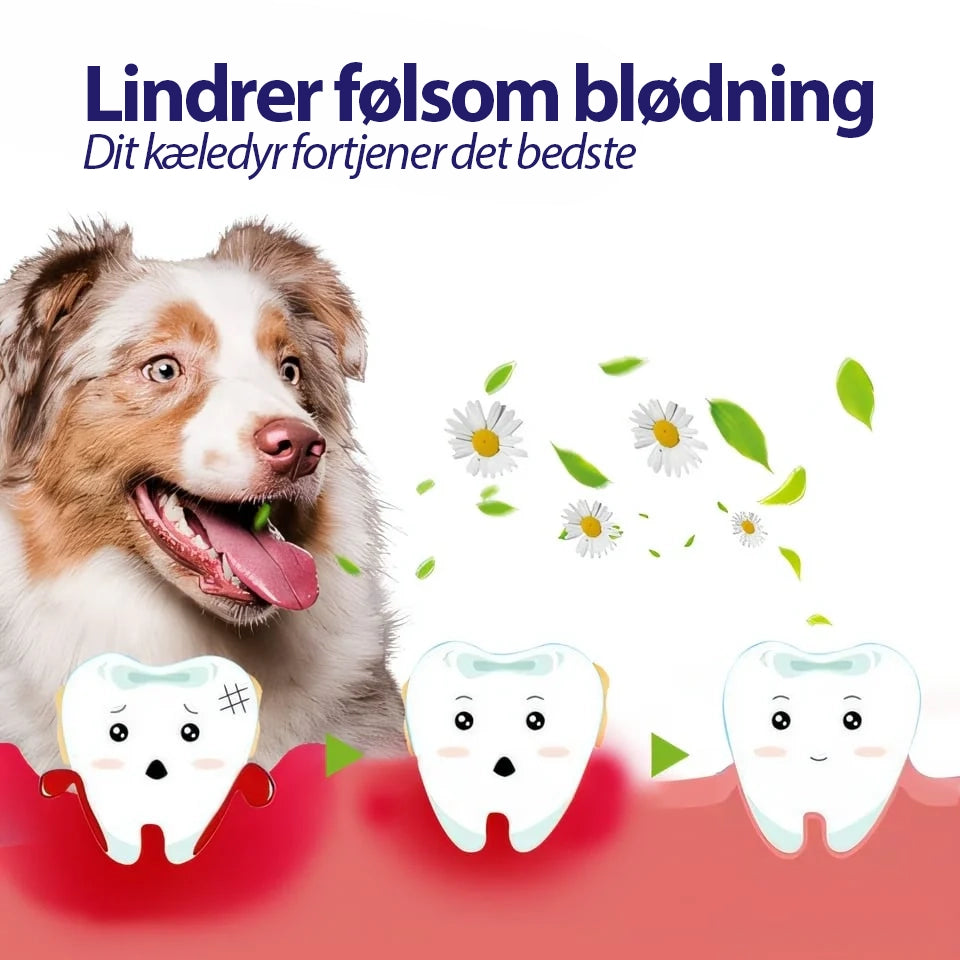 DentiPet
