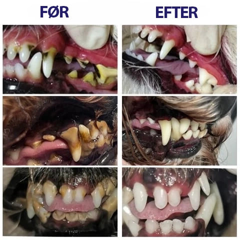 DentiPet