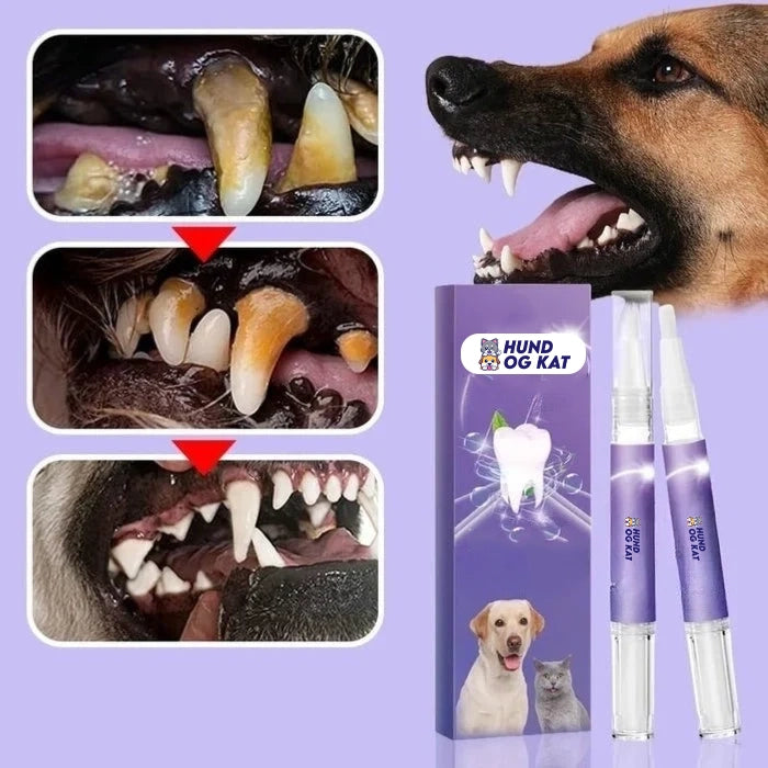 DentiPet