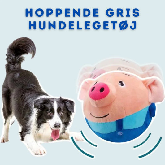 PiggyPlay