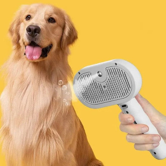 SteamPET