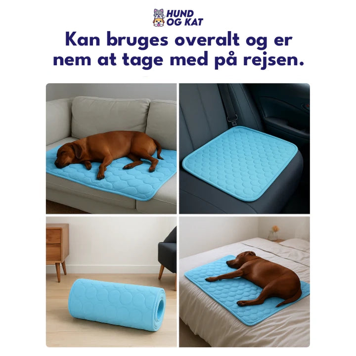 Hundogkats Kølemåtte