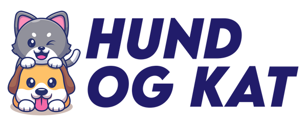 Hundogkat