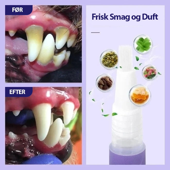 DentiPet