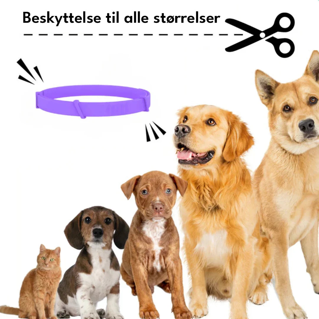 FlåtStop